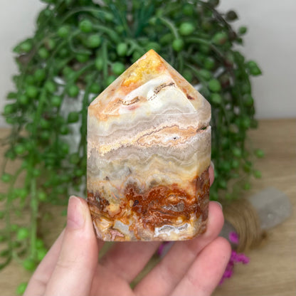 Crazy Lace Agate Domino Point (829A)