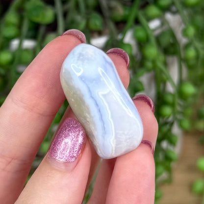 Blue Lace Agate Tumble 4