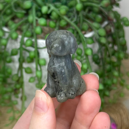 Labradorite Dog (784A)