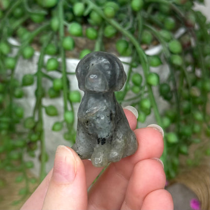 Labradorite Dog (785A)