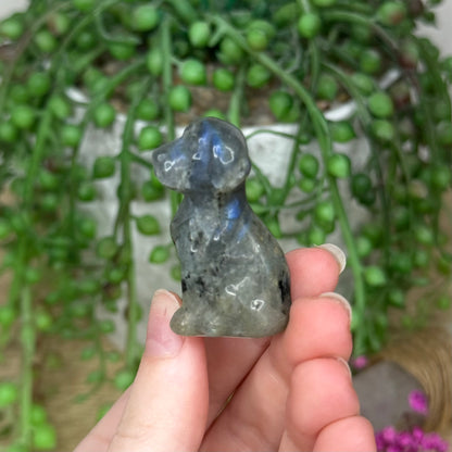 Labradorite Dog (785A)