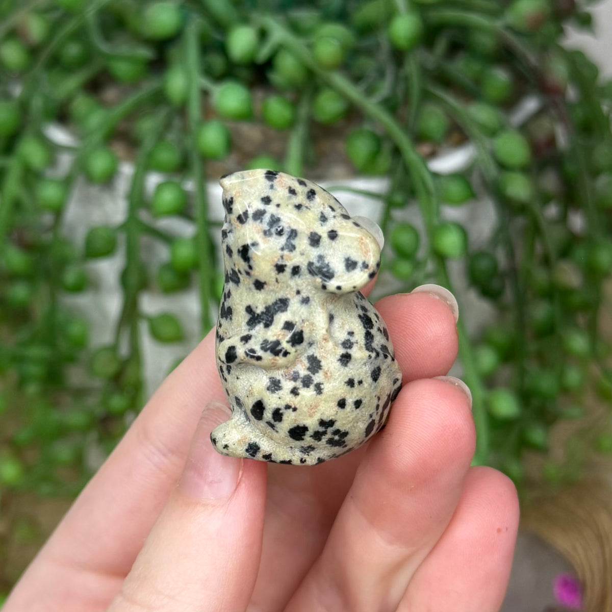 Dalmatian Jasper Mouse (860A)