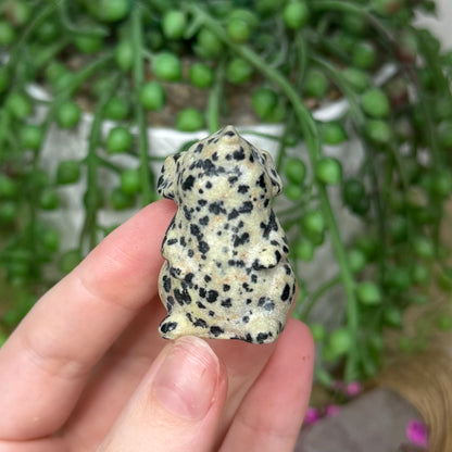 Dalmatian Jasper Mouse (860A)