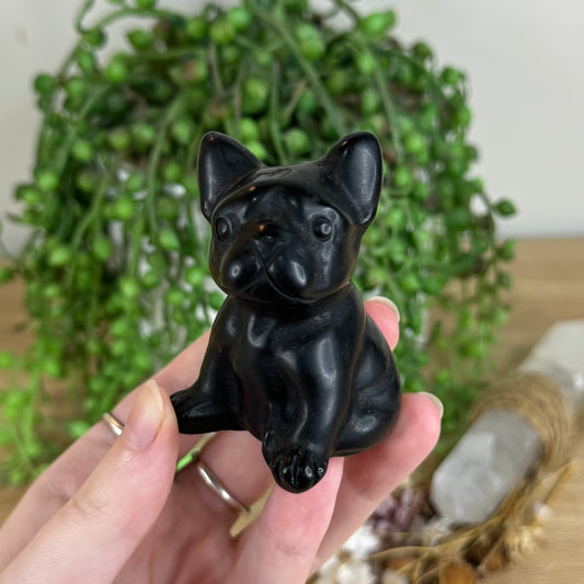 Black Obsidian French Bulldog (Q436)