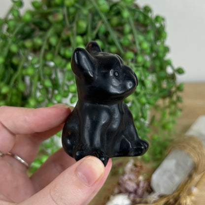 Black Obsidian French Bulldog (Q436)