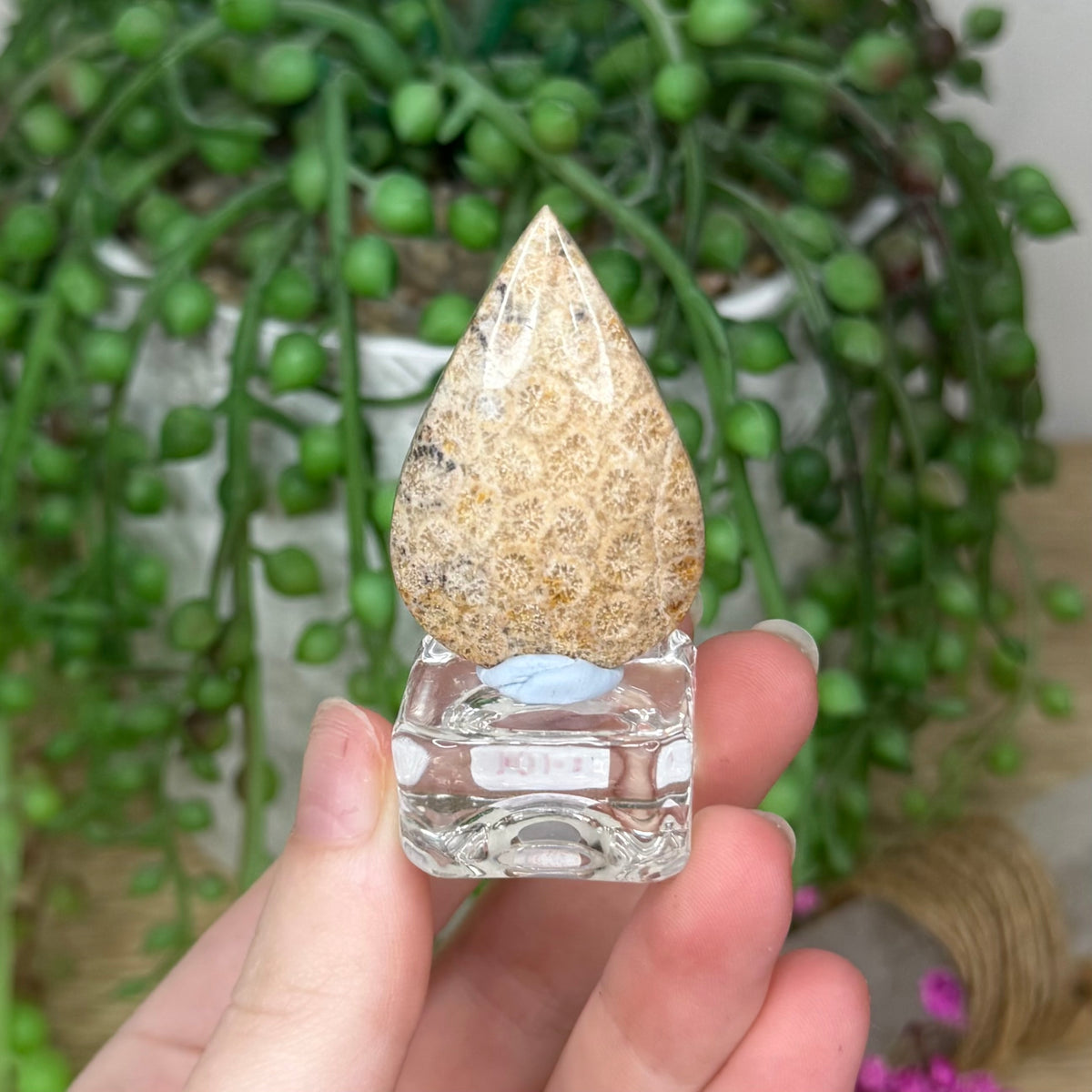 Coral Jade Cabochon On Stand (791A)