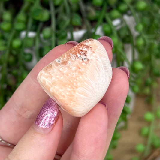 Pink Scolecite Tumble 2