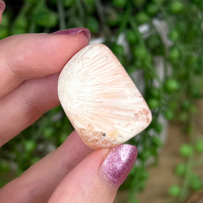 Pink Scolecite Tumble 2