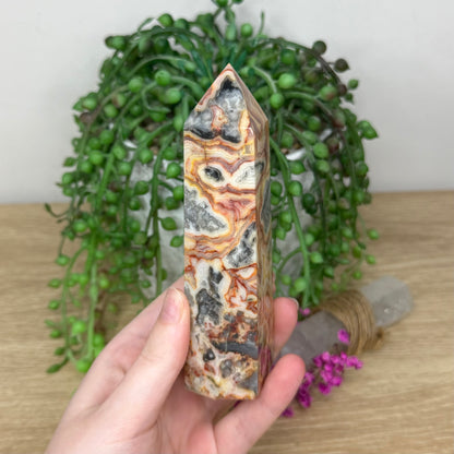 Crazy Lace Agate Point (5B)