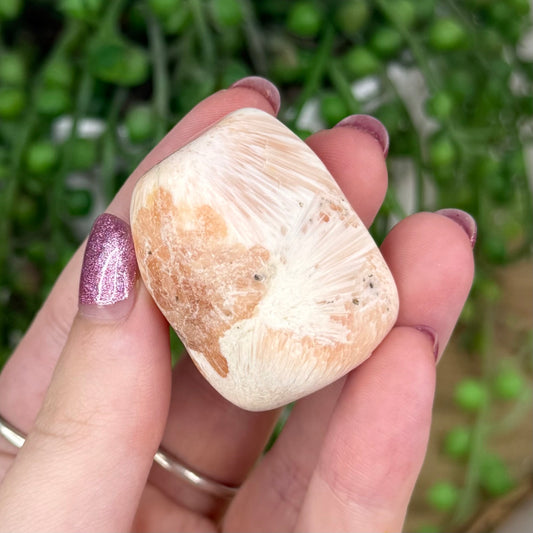 Pink Scolecite Tumble 4