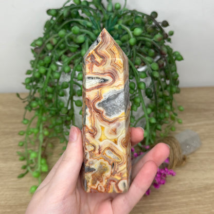 Crazy Lace Agate Point (5B)