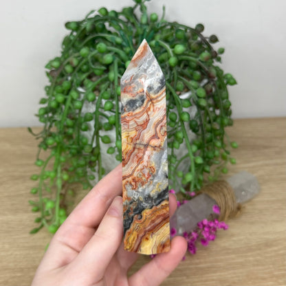 Crazy Lace Agate Point (6B)