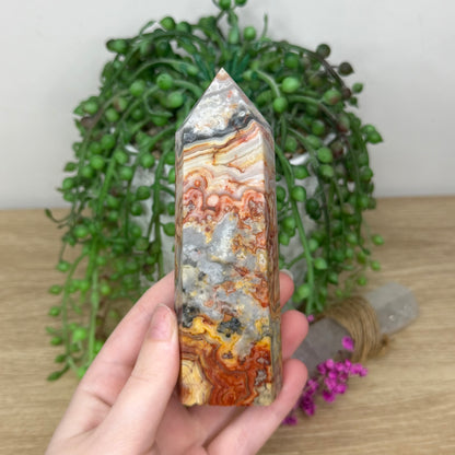 Crazy Lace Agate Point (6B)