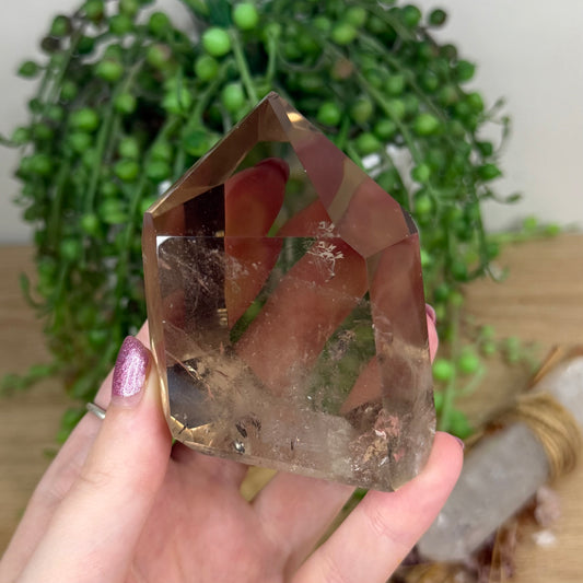 Smokey Quartz Free Form (X48)