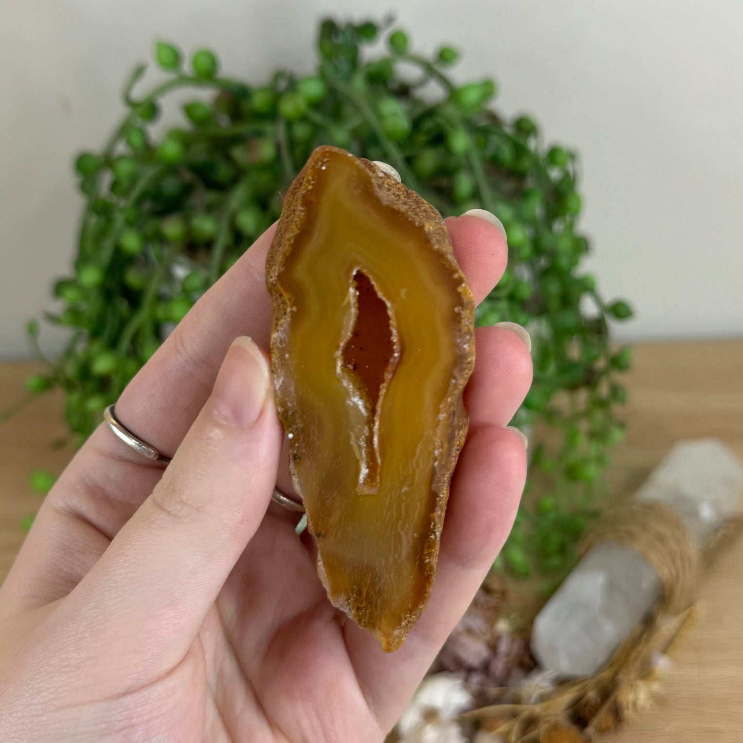 Druzy Agatę Geode Slice (Q660)