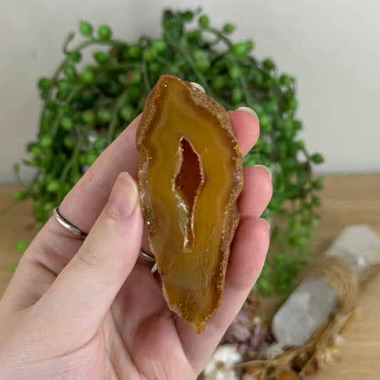 Druzy Agatę Geode Slice (Q660)