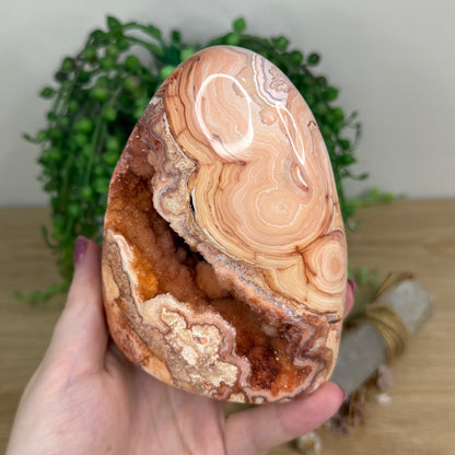 Pink Crazy Lace Agate Arch Free Form (X83)