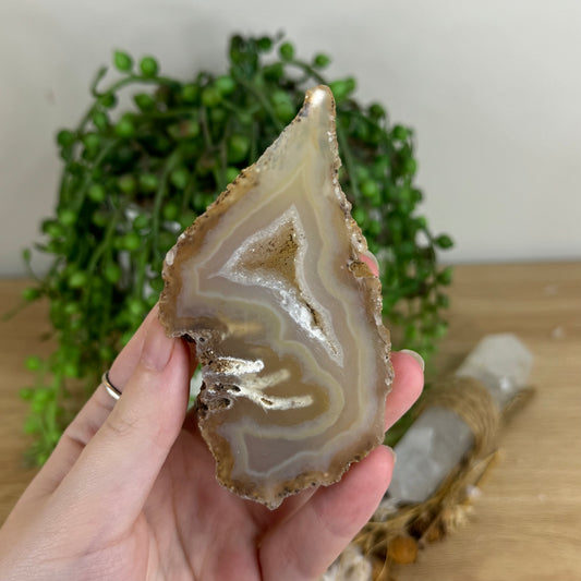 Druzy Agatę Geode Slice (Q669)
