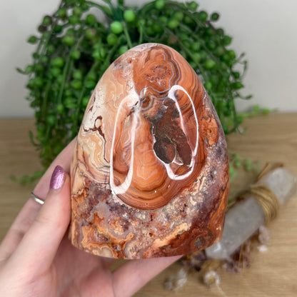 Pink Crazy Lace Agate Arch Free Form (X83)