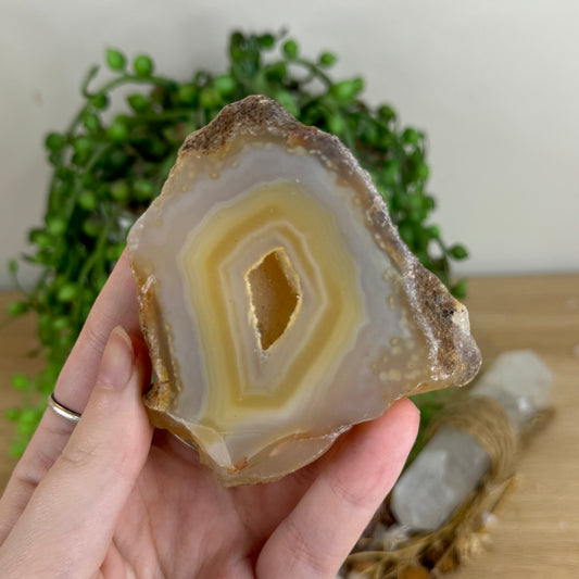 Druzy Agatę Geode Slice (Q670)