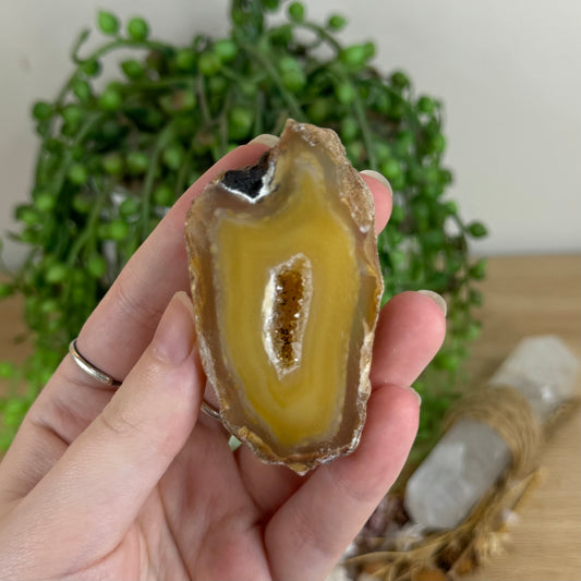 Druzy Agatę Geode Slice (Q657)