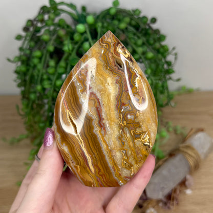 Pink Crazy Lace Agate Arch Free Form (X22)