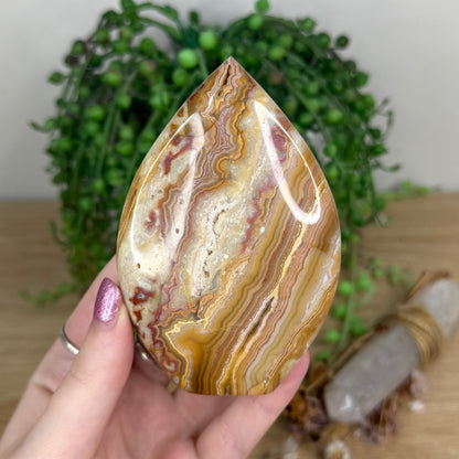 Pink Crazy Lace Agate Arch Free Form (X22)