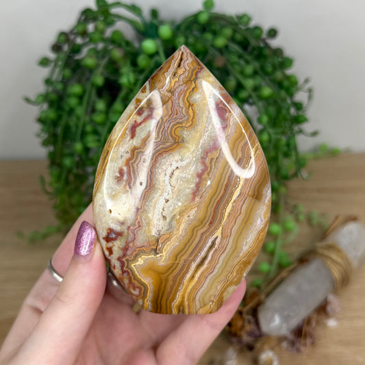 Pink Crazy Lace Agate Arch Free Form (X22)