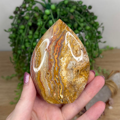 Pink Crazy Lace Agate Arch Free Form (X19)