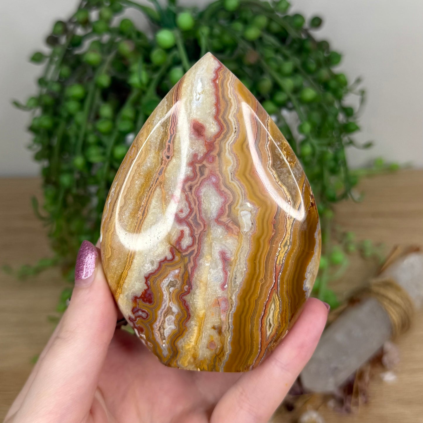 Pink Crazy Lace Agate Arch Free Form (X21)