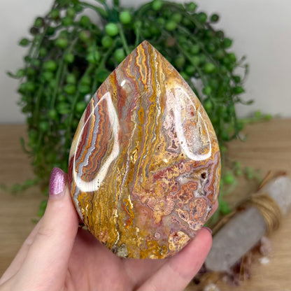Pink Crazy Lace Agate Arch Free Form (X17)