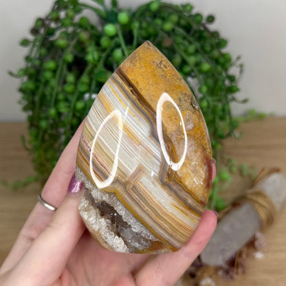 Crazy Lace Agate Arch Free Form (X24)