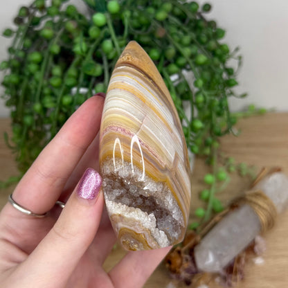 Crazy Lace Agate Arch Free Form (X24)
