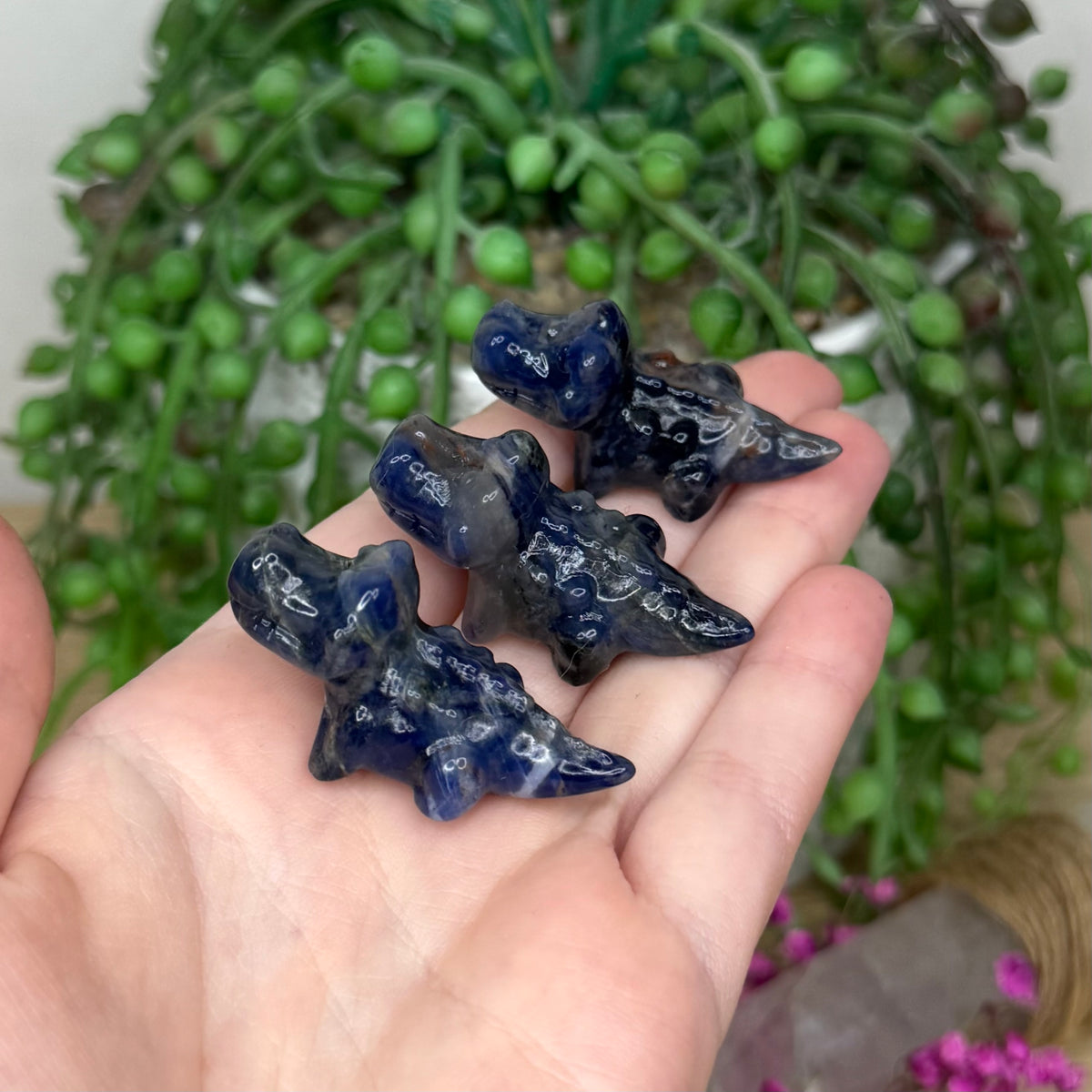 Sodalite Mini Crocodile