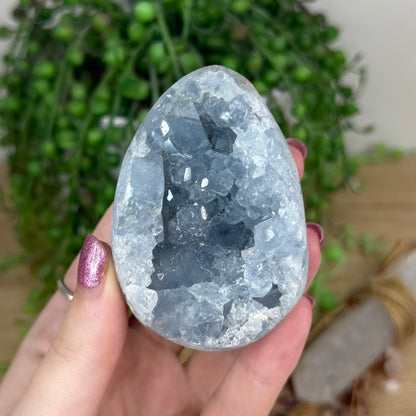 Blue Celestite Cluster Egg (X12)
