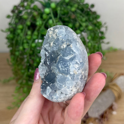 Blue Celestite Cluster Egg (X13)