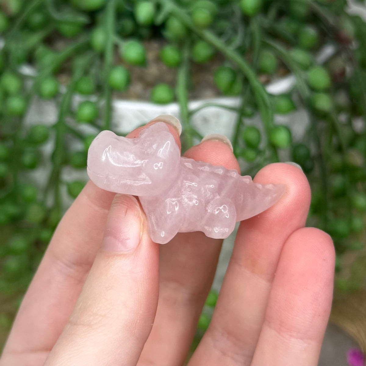 Rose Quartz Mini Crocodile