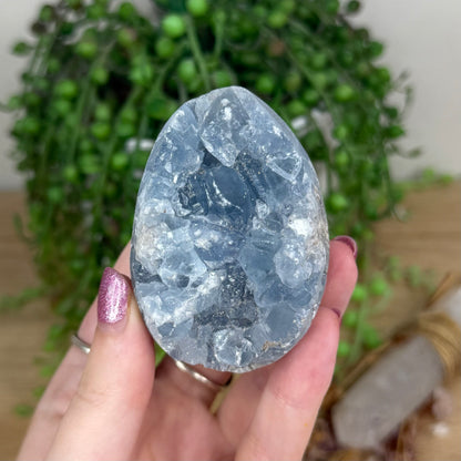 Blue Celestite Cluster Egg (X11)