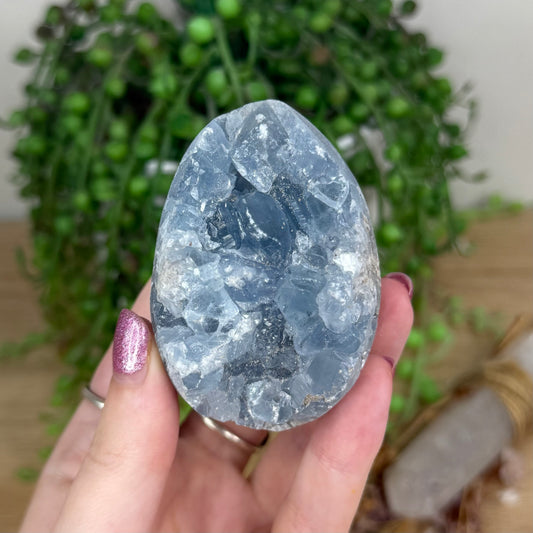 Blue Celestite Cluster Egg (X11)
