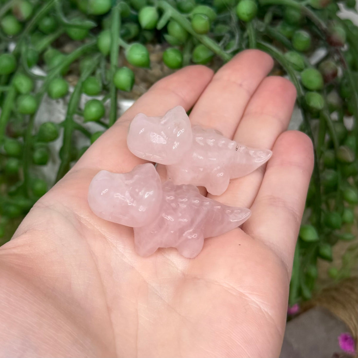 Rose Quartz Mini Crocodile