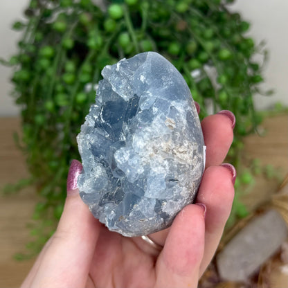 Blue Celestite Cluster Egg (X11)