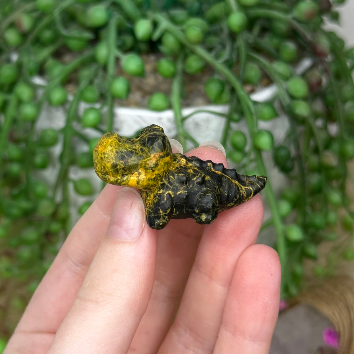 Realgar Mini Crocodile