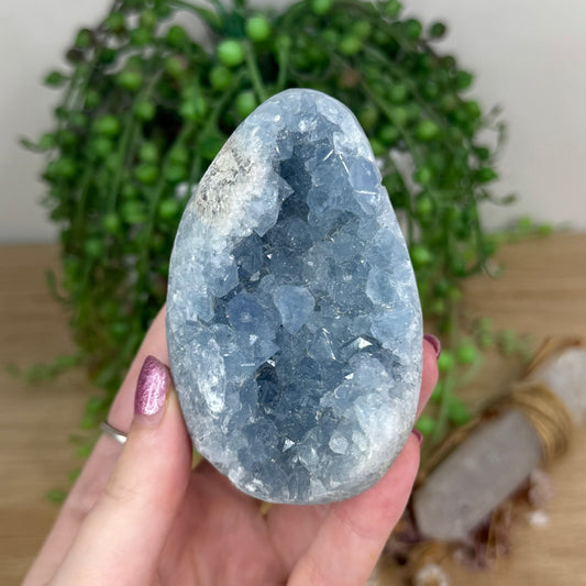 Blue Celestite Cluster Egg (X15)