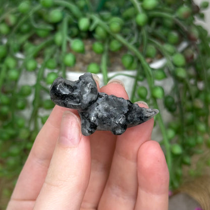 Larvikite Mini Crocodile