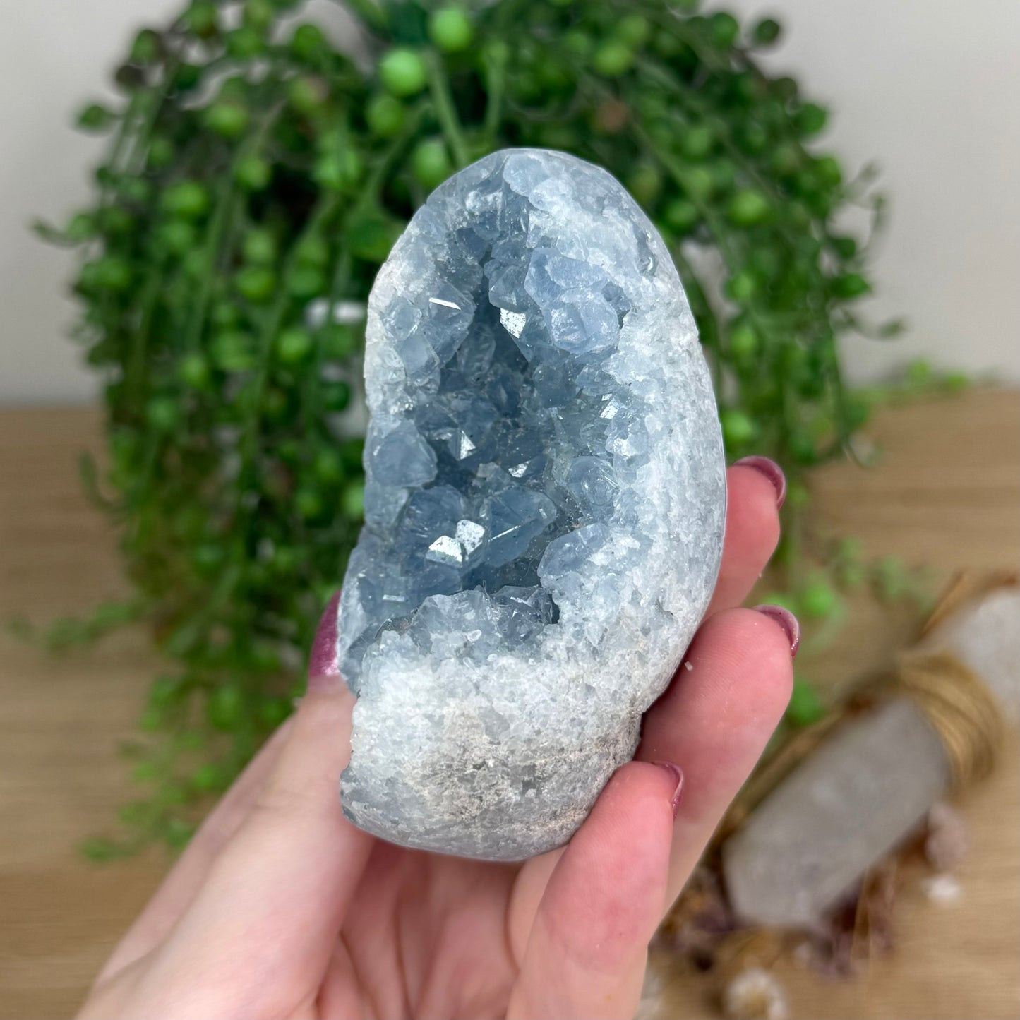 Blue Celestite Cluster Egg (X15)