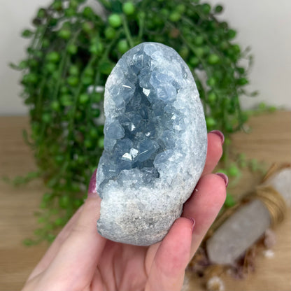 Blue Celestite Cluster Egg (X15)