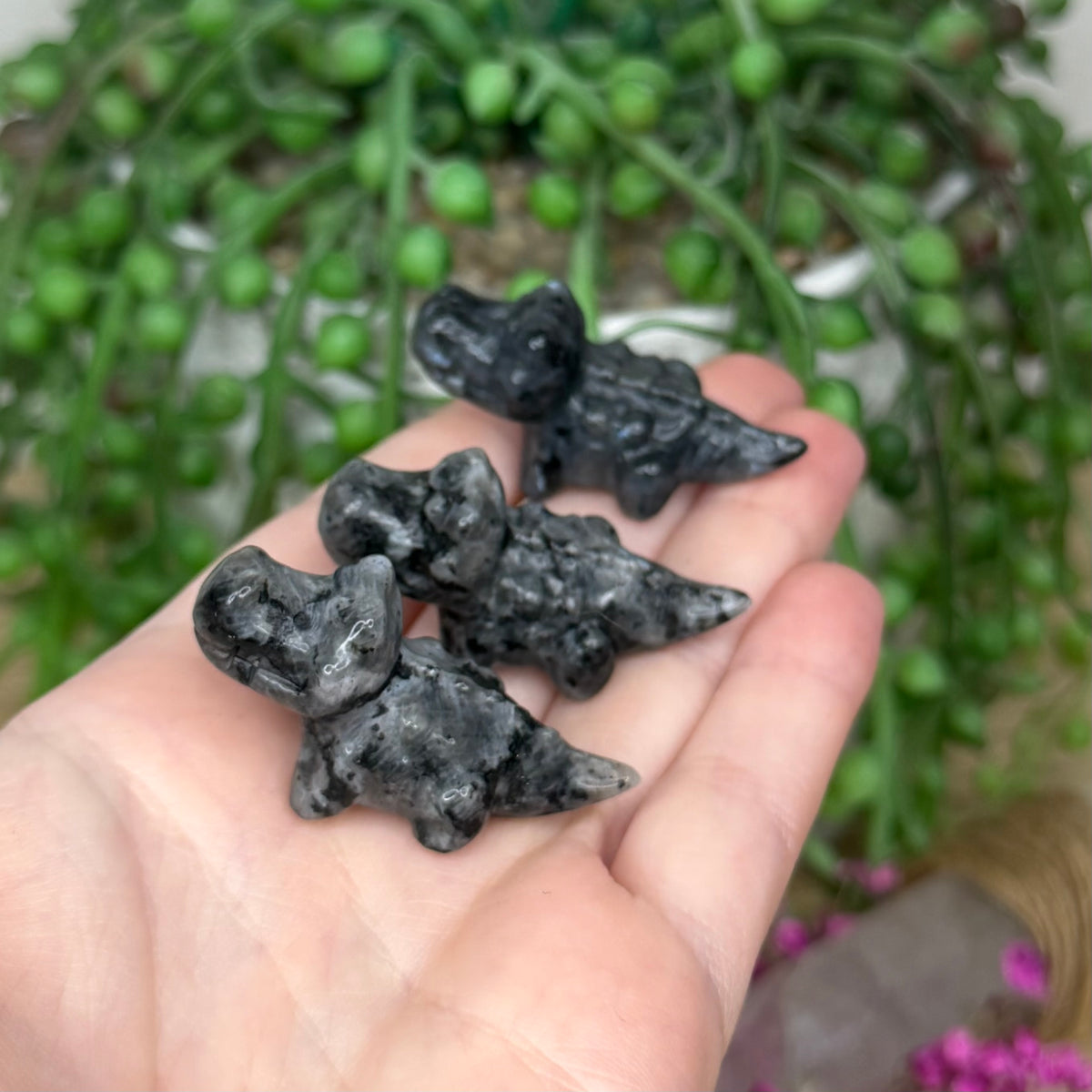 Larvikite Mini Crocodile
