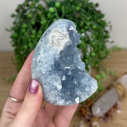 Blue Celestite Cluster Egg (X15)