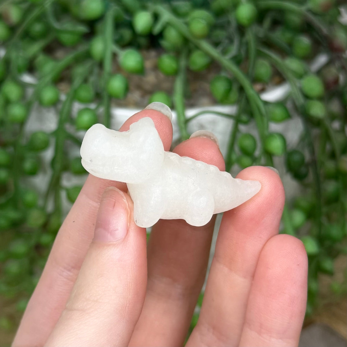 White Jade Mini Crocodile