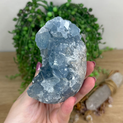 Blue Celestite Cluster Egg (X16)